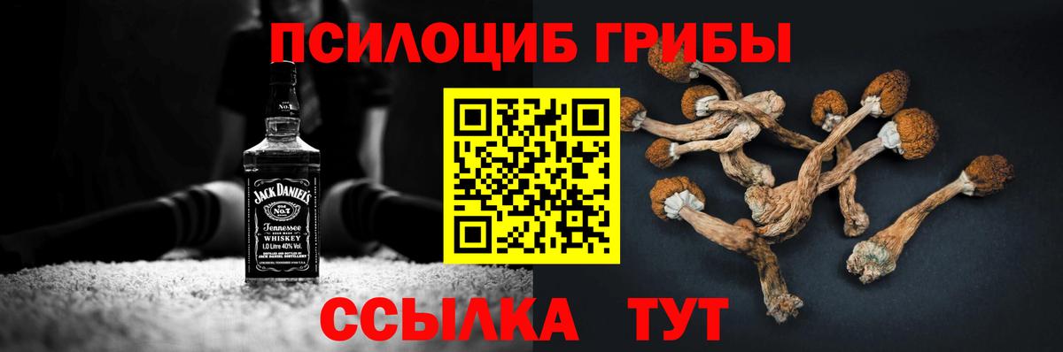 Галлюциногенные грибы Psilocybine cubensis  Галлюциногенные грибы ЛСД  закладка  Вход с VPN  Заречный 